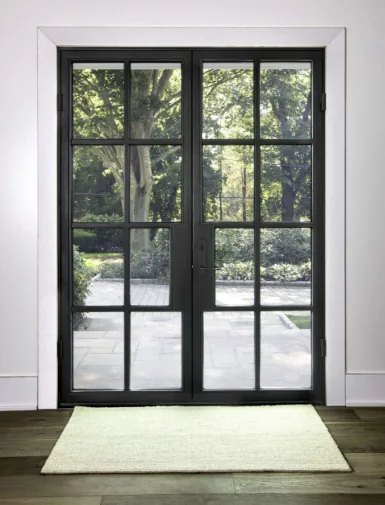 3. Glass Doors