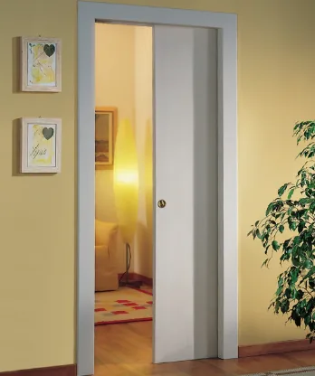 1. Single Pocket Door
