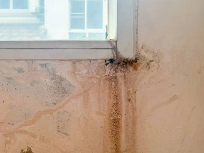 Understanding the Causes of Leaks