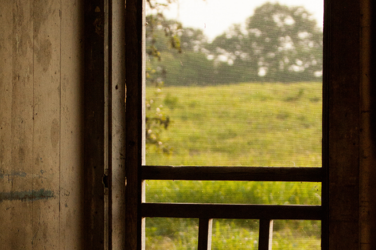 Screen door opening viewed from inside — measure frame-to-frame for accurate sizing
