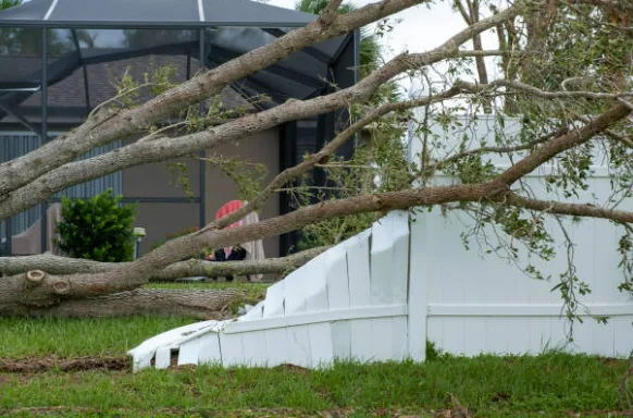 Hurricane Season & South Florida Homes