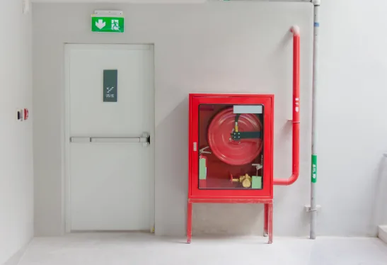 3. Fire-Rated Doors: Safety First in High-Risk Areas